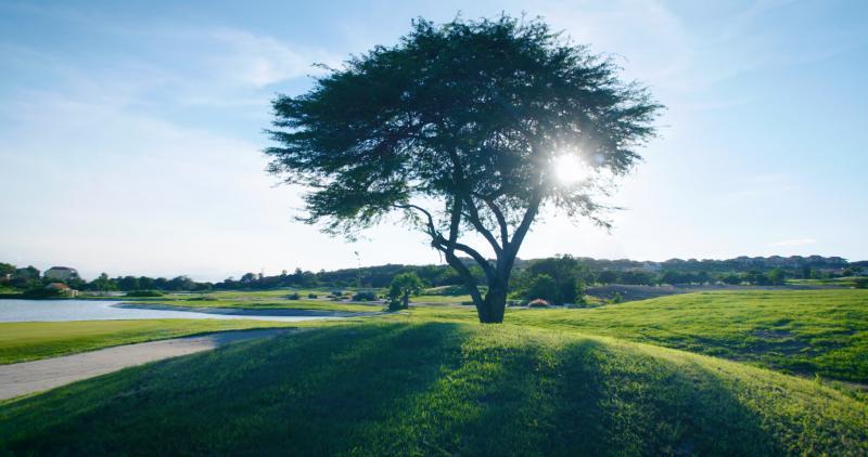 Villa At The Beach, Blue Bay Golf & Beach Resort エクステリア 写真